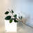 3.5'' Solar Powered Integrated LED Color Changing