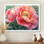 Pivoine d'été en pleine floraison III - pivoine, art mural-543798608-784610980
