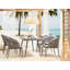 Outdoor Patio Dining Armchair with Cushion