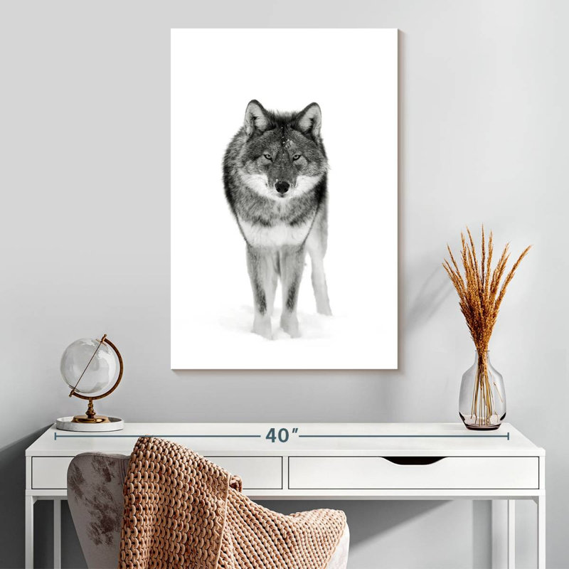 Coyote Stare, 30" H x 20" W