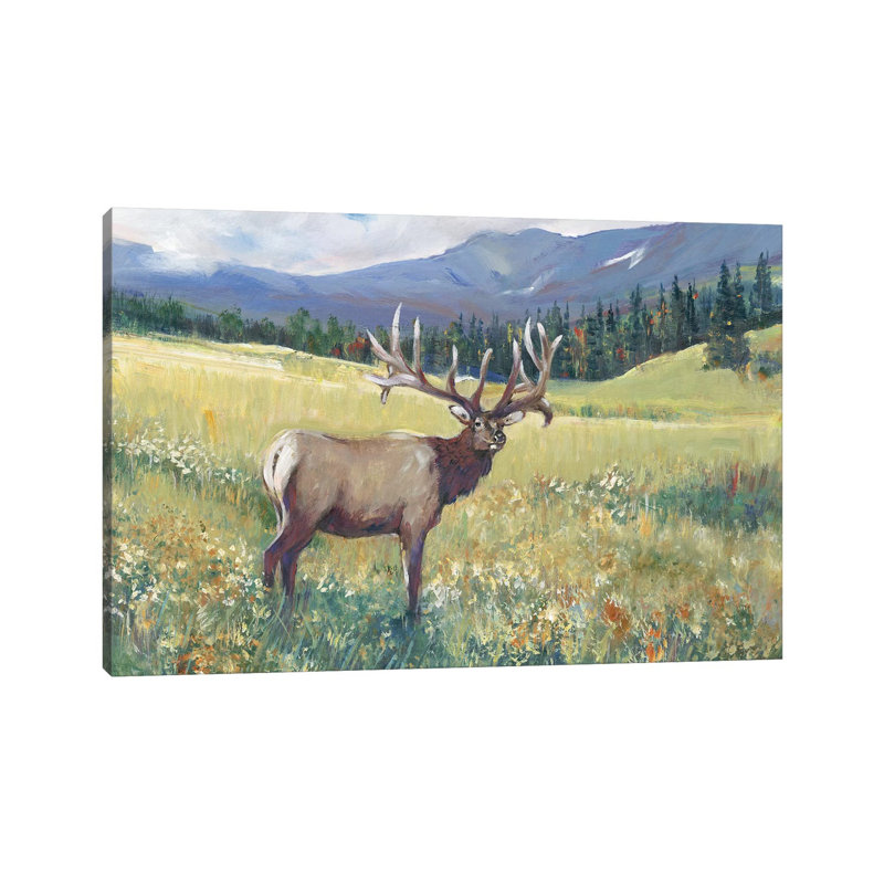 «Rocky Mountain Elk I» par Timothy O 'Toole - peinture sur toile tendue, H 8 po x l 12 po x P 0,75 po