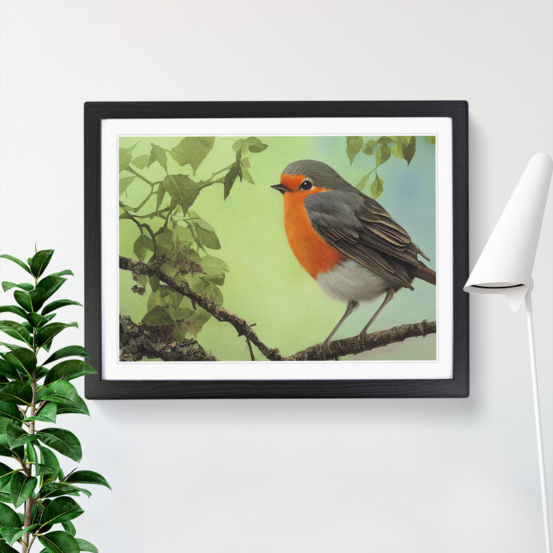 Magnetic Robin Bird - Framed Print, Black, 46cm H x 64cm W x 2cm D