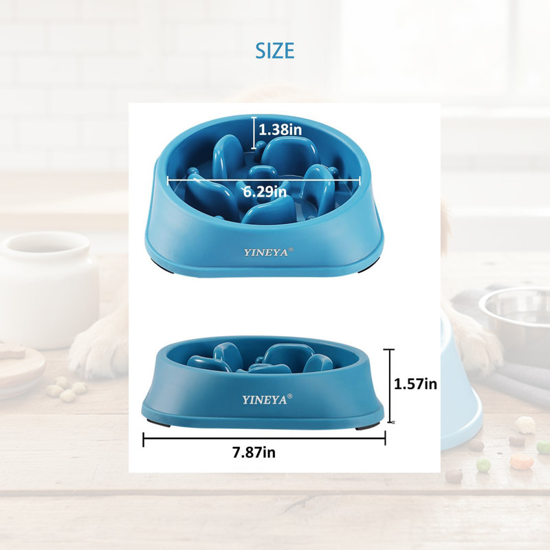 Bol pour chien à alimentation lente, Bleu