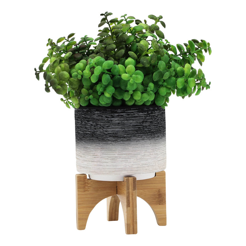 Jardinière en céramique de 5 po sur support en bois, gris - Transformez votre espace piscine avec support