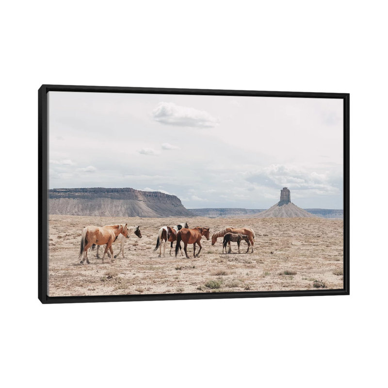 « arizona », photographie, Toile avec cadre noir, H 18 po x l 26 po x P 1,5 po