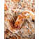 Alresford Oriental Indoor Rug