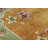 One-of-a-Kind 2'X3' No Wool Area Rug