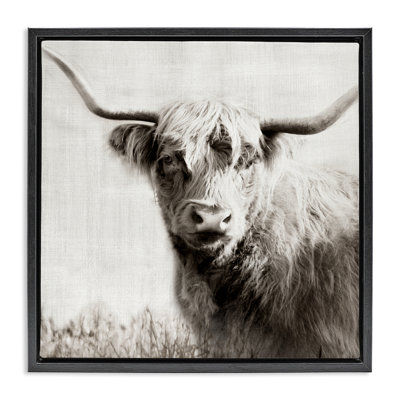  «Highland Cow», art mural encadré par Danita Delimont