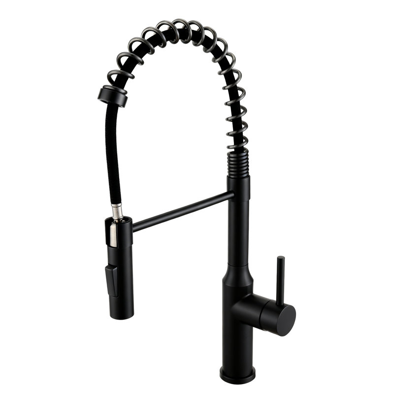 Nayeli High Arc One-Handle Pull-Down Classic Kitchen Faucet, Supply Line Included, Matte Black, Matte Black
