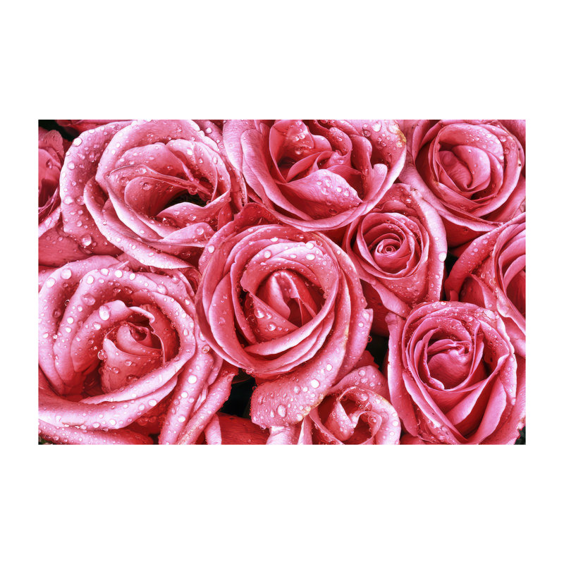 Stylish Non-Woven Thin Type Printed Rug with Elegant Floral Design Ideal for Enhancing Home Interiors and Lending an Alluring Touch to Any Living Space