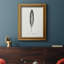 Toile encadrée Found Feather II - prête à être accrochée-1883603807