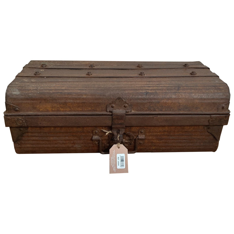 Ahmora Handmade Decorative Trunk