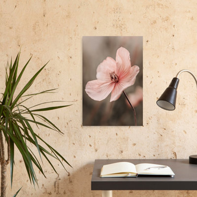 Delicate Blossom Delicate Elegant Ethereal Flower Nature Wall Art Print 1 Piece Wrapped Canvas Wall Art