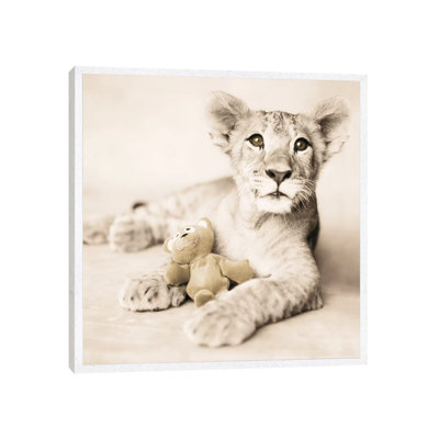 Arjuna And Teddy by Rachael Hale - Print on Canvas