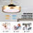 36" 3-Blade Ceiling Fan with Lights and Remote Control-97085818