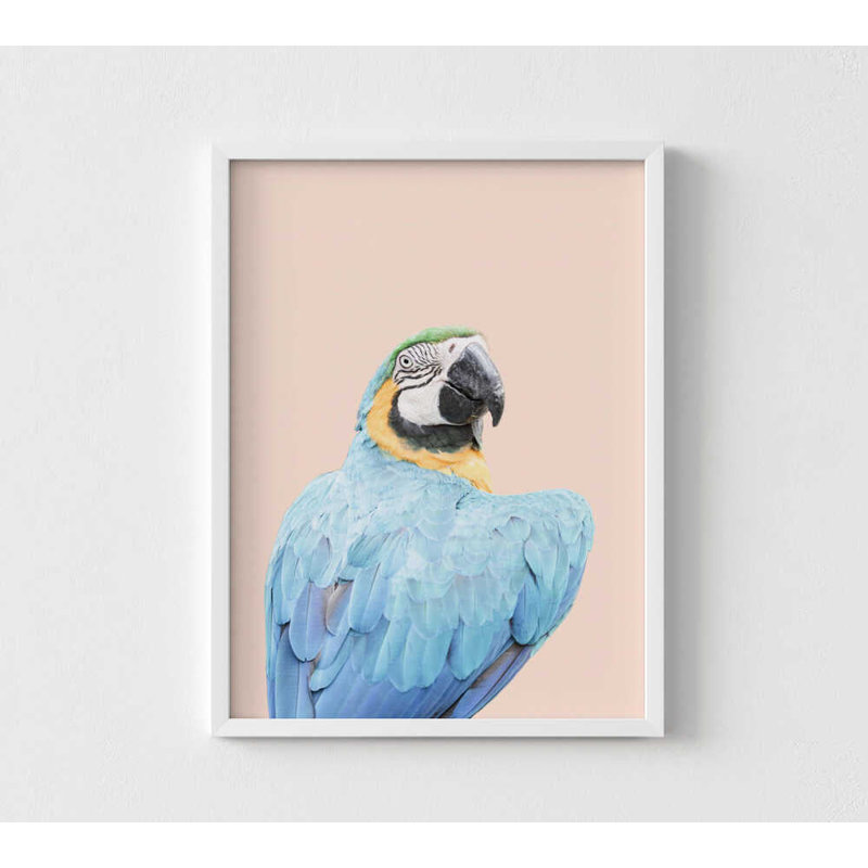 Imprimé ara bleu: art d'oiseau exotique (décoration murale)