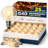 25-Pieces 5-Watt G40 Incandescent Light Bulb Warm White E12/Candelabra Base