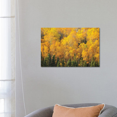 Yellows of the Gunflint Trail 1 Piece Wrapped Canvas Wall Art
