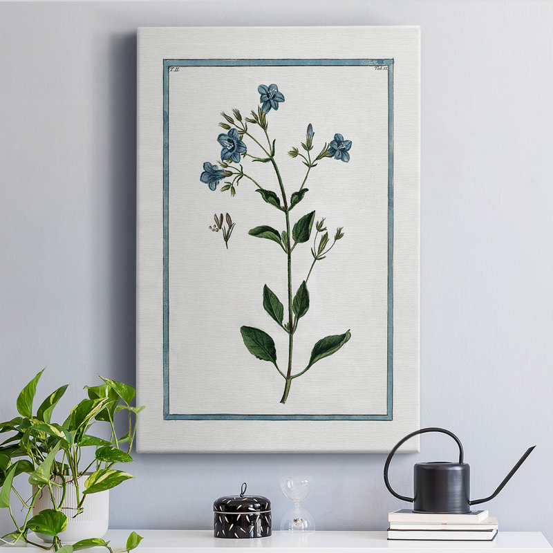 Shabby Elegance Botanical II - peinture sur toile tendue
