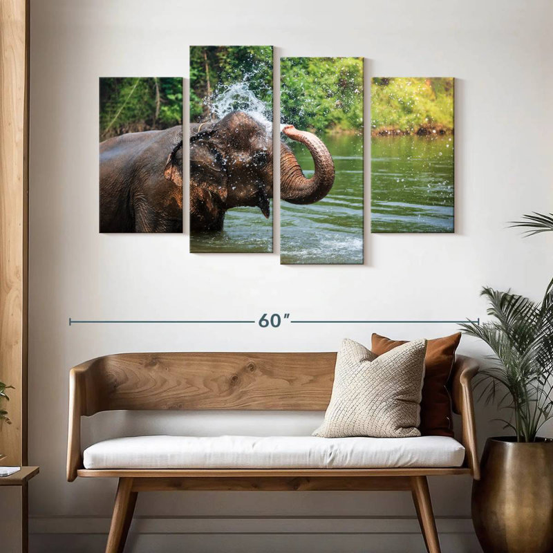 Elephant Throws Water