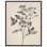 «Aniseed Anatomy I», art floral délicat par Art Remedy