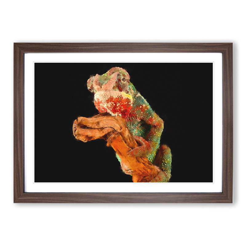 Chameleon - Framed Print, 48cm H x 65cm W x 2cm D, Walnut Framed
