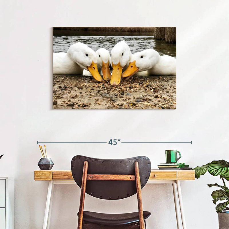 Brampt American Pekin Ducks, 24" H x 36" W