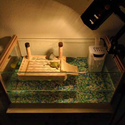 Turtle Aquarium Kit, Aquatic Turtle Tank,Turtle Basking Platform