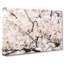 Pink Cherry Blossom Flowers Vol.7 - Wrapped Canvas-61838436