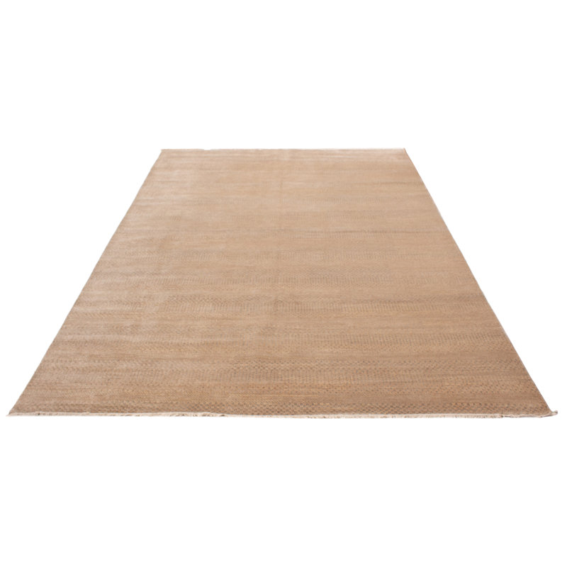 Silk Shadow Tan Rug 9'10" x 13'9"