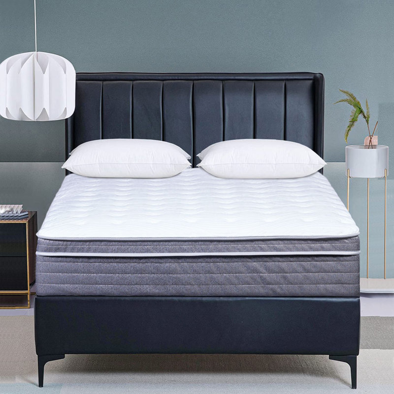Flushing 13'' Plush Mattress