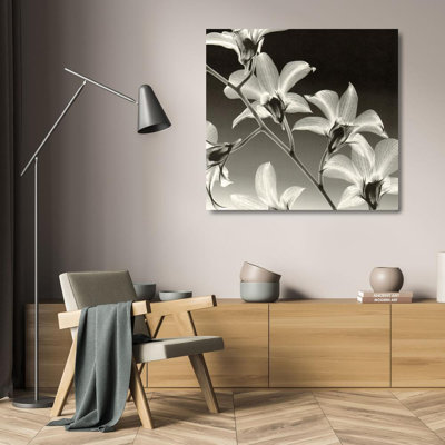 Orchidée Dendrobium