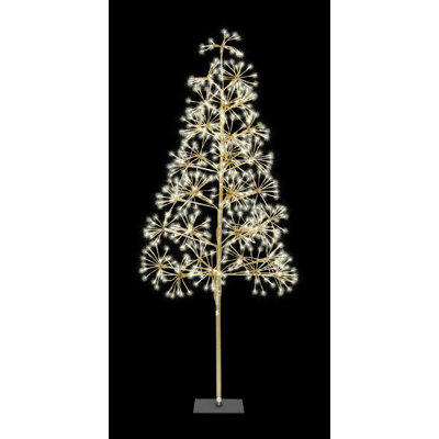 Lighted Trees & Branches