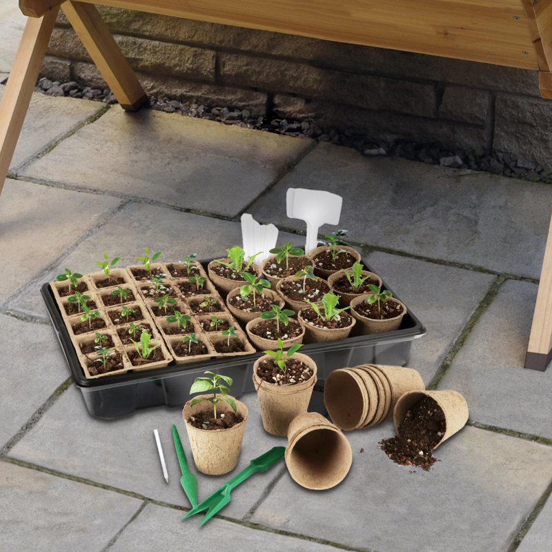 Aelianna Garden Grow Progagtion DIY Kit