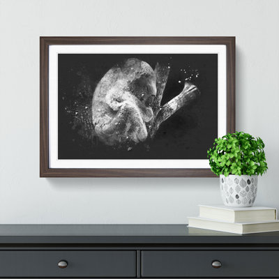 Koala Bear Resting in a Tree - Framed Print