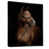 Black Floater Framed is out of stock
