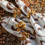 Forest Walk Leaf Napkin Ring Assorted - Gold