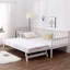 Burnley Daybed with Trundle