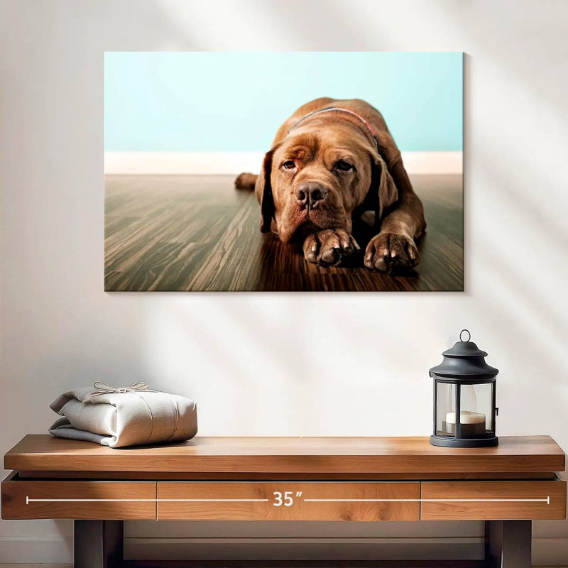 Dogue français Brampt s'ennuie, H 16 po x l 24 po