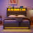 Jilissa Upholstered Bookcase Lift Up Storage Bed with Charging Station and RGB LED Lights-688655813-688655812