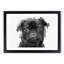 Pug Dog in Abstract - Framed Print-55768029-55768034