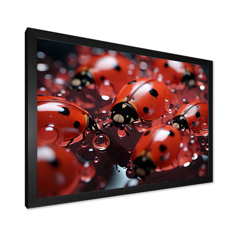 Dreamy Ladybug Reflections sur toile, H 34 po x l 44 po x P 1,5 po, Cadre simple noir