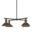 Henry 4 - Bulb 8.2" H Outdoor Chandelier-55702443