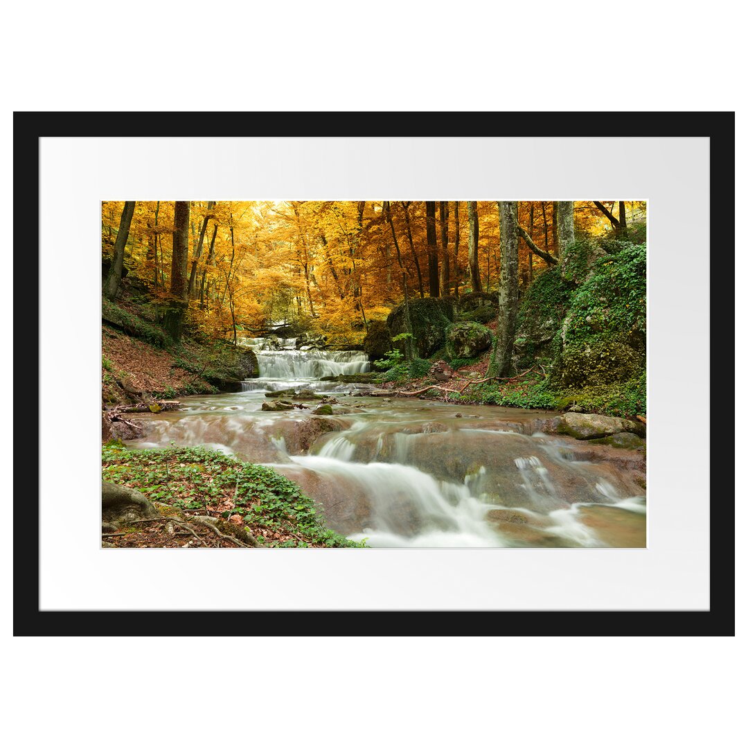 Gerahmtes Poster Waldbach im Herbst