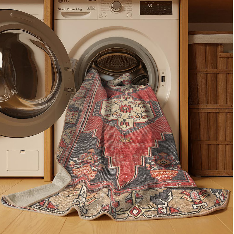 Tapis traditionnel 100% lavable à la machine 2459, Rectangle de 2 pi x 3 pi