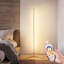 Mackinzi 55'' LED Column Floor Lamp-1726805116
