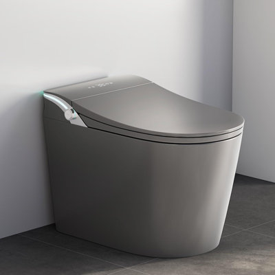 Smart Toilet,Tankless Toilets Dynamic Clean With Dryer, ADA Comfort Height One Piece Toilet With Warm Water Bidet,Modern Smart Toilet With Bidet Built In With Foot Sensor,Power Outage And Flush 