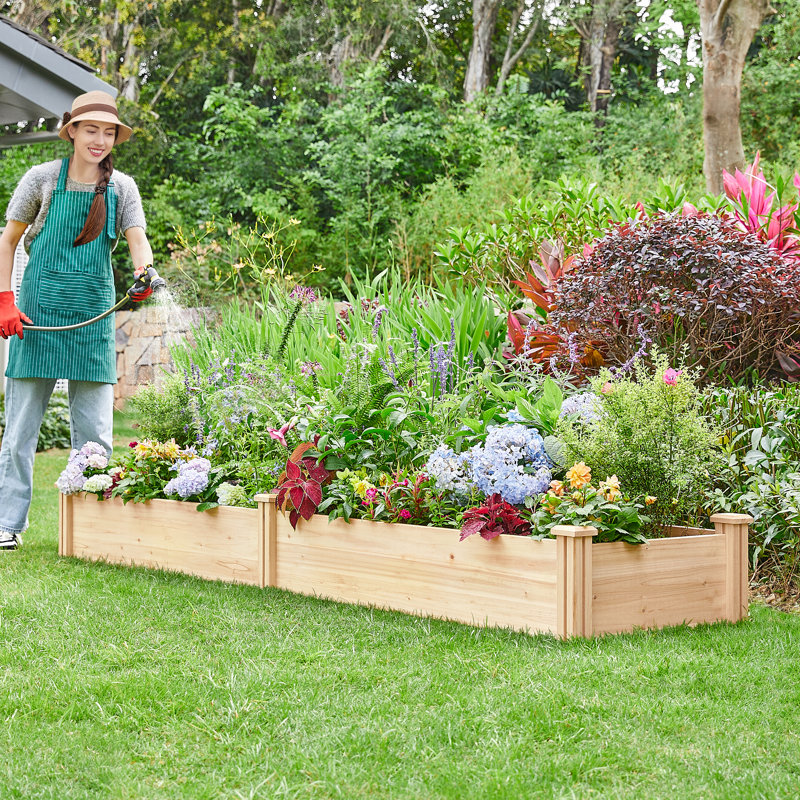 Wooden Raised Garden Bed, Wood, 27cm H x 241.5cm W x 62.5cm D