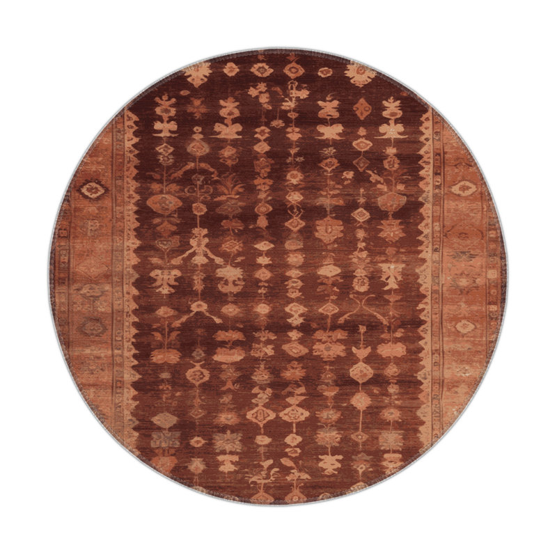 Tapis intérieur et extérieur brun Overdyed, Rond 5 pi