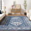 Tapis oriental Fitz-368019563-390784146